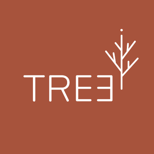 https://registratie-aanbod.vrouwennet.be/uploads/aanbod/annelies-verjauw-treebalance-vrouwennet-photo-1_1776536654.png