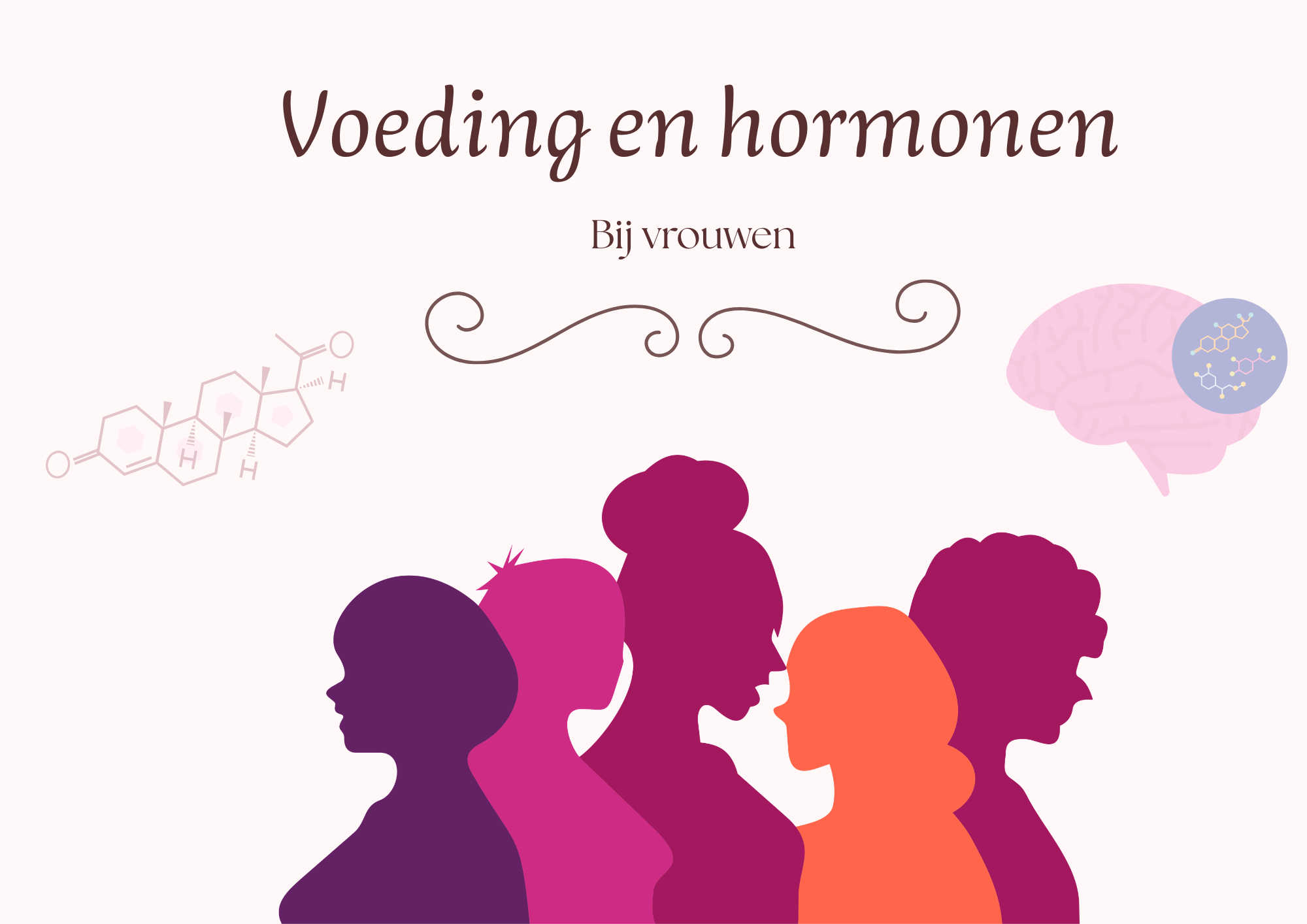 https://registratie-aanbod.vrouwennet.be/uploads/aanbod/celeste-benaouda-dieetpraktijk-celeste-benaouda-vrouwennet-overview_1774861443.png