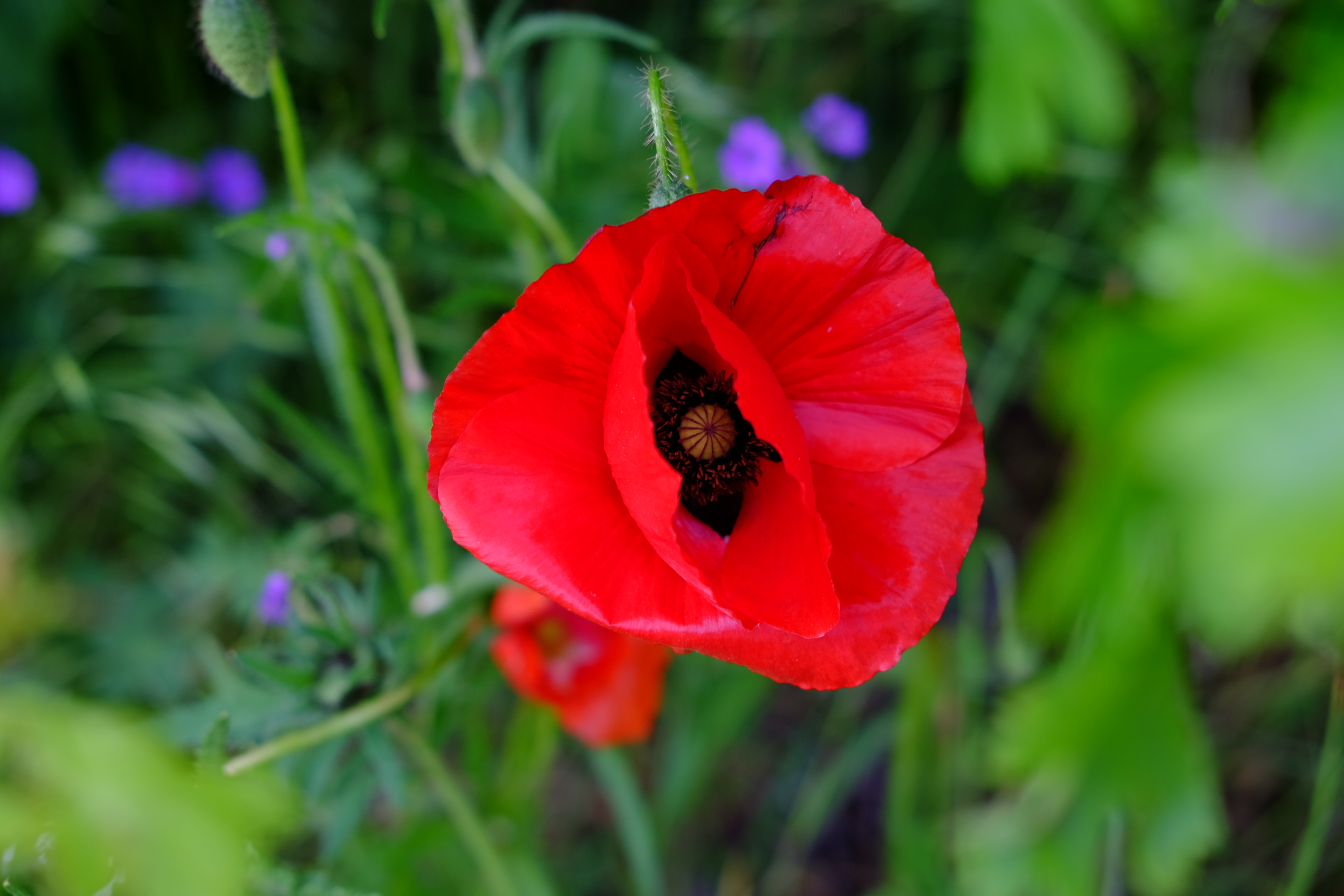 https://registratie-aanbod.vrouwennet.be/uploads/aanbod/detail_photo_06810d32a83eee_1745933098.jpg