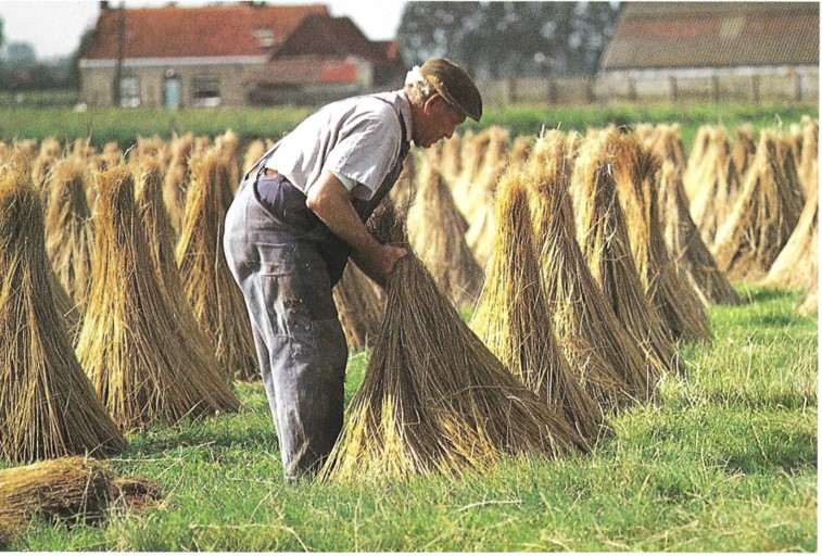 https://registratie-aanbod.vrouwennet.be/uploads/aanbod/detail_photo_06811e2798f84e_1746002553.jpg