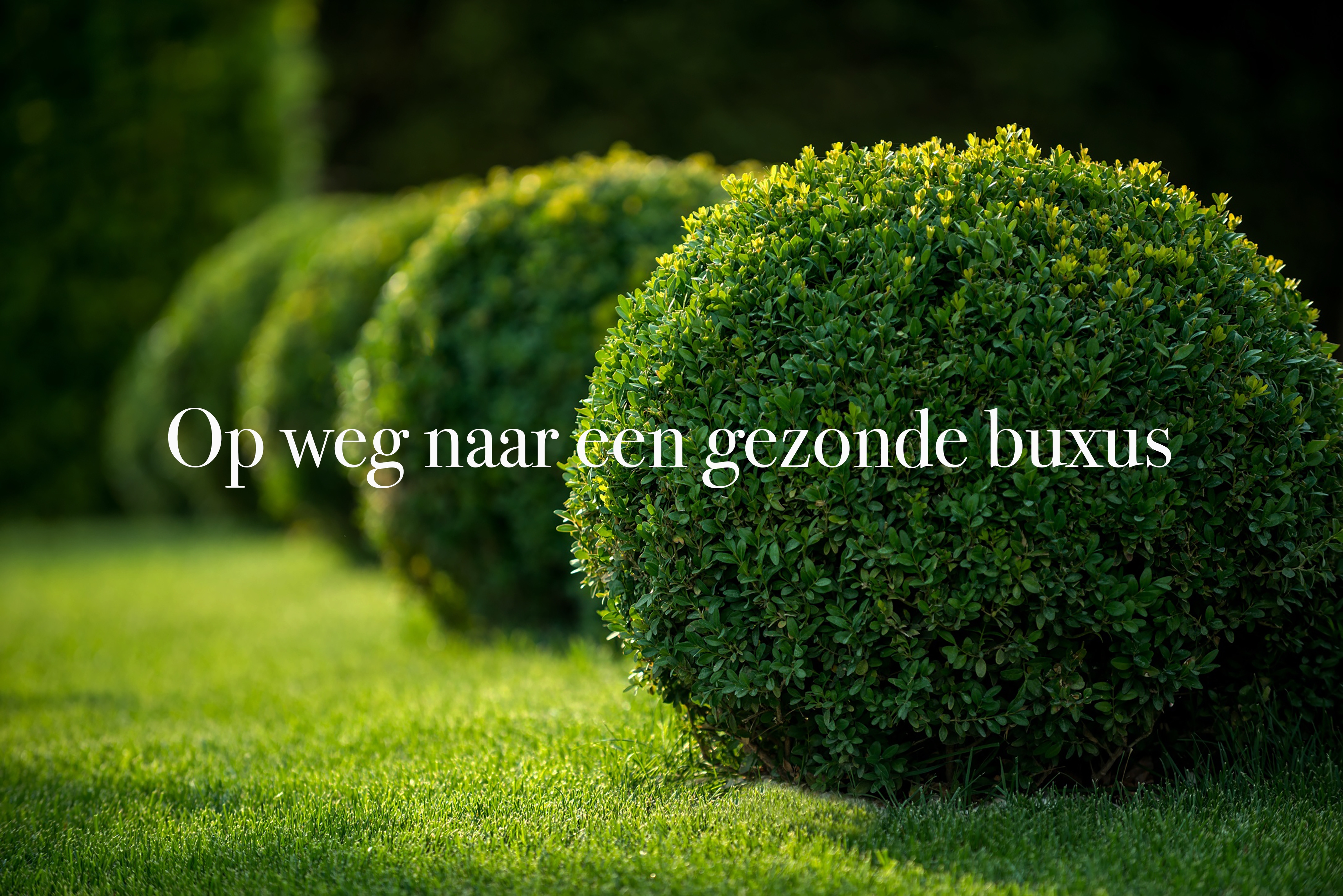 https://registratie-aanbod.vrouwennet.be/uploads/aanbod/detail_photo_1682305a973196_1747125673.jpg