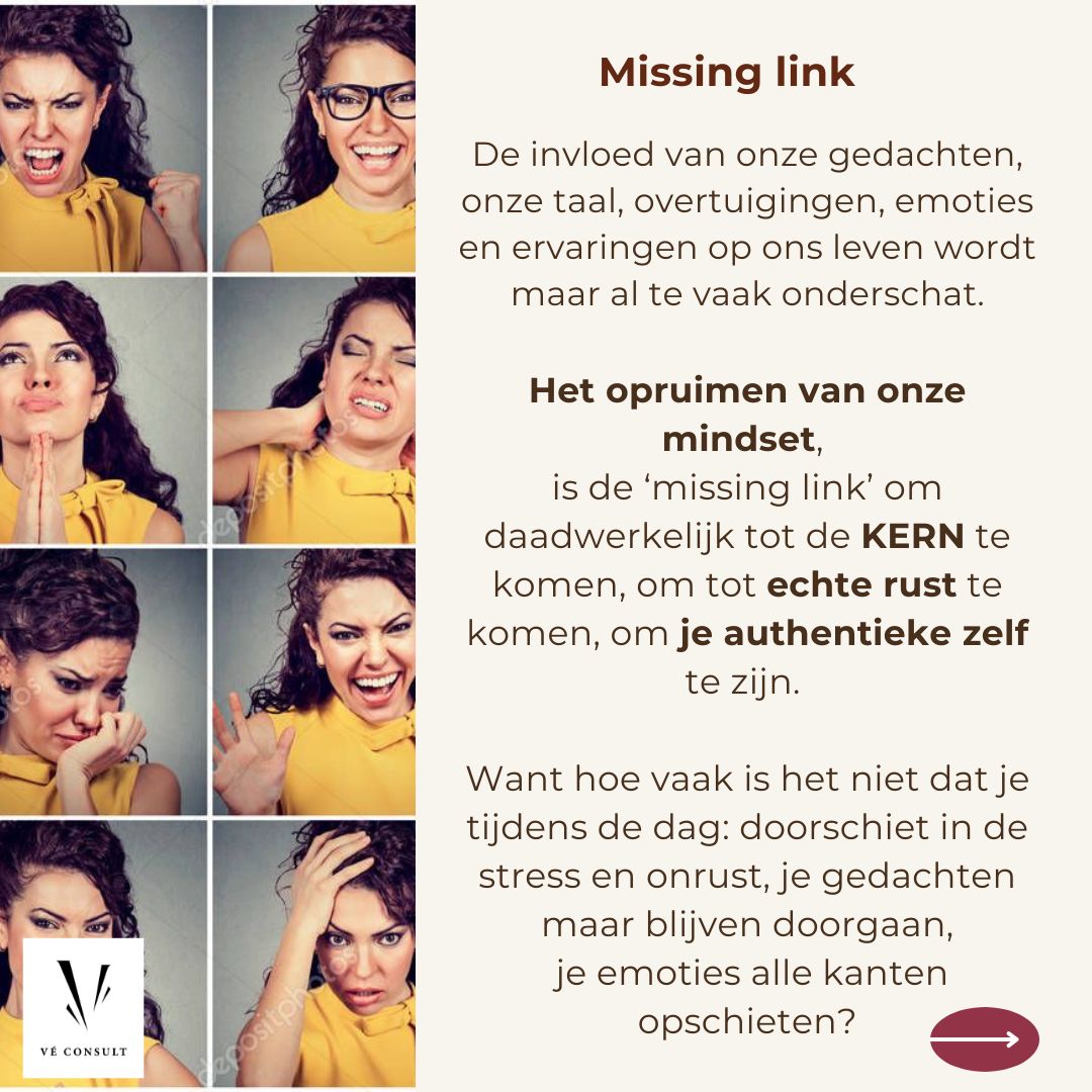https://registratie-aanbod.vrouwennet.be/uploads/aanbod/detail_photo_2680f8cd68f2e5_1745849558.jpg