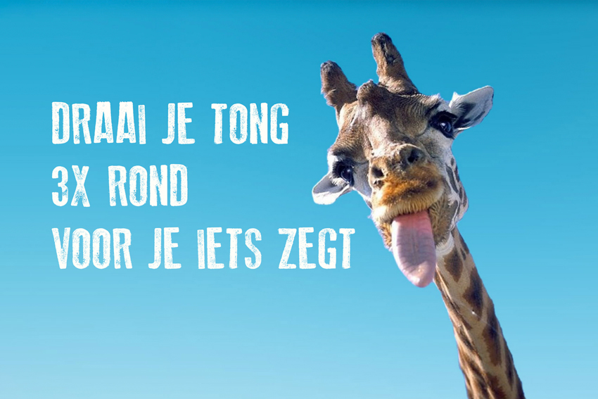 https://registratie-aanbod.vrouwennet.be/uploads/aanbod/saya-gyselinck-imboorling-bv-vrouwennet-photo-5_1776422325.jpg