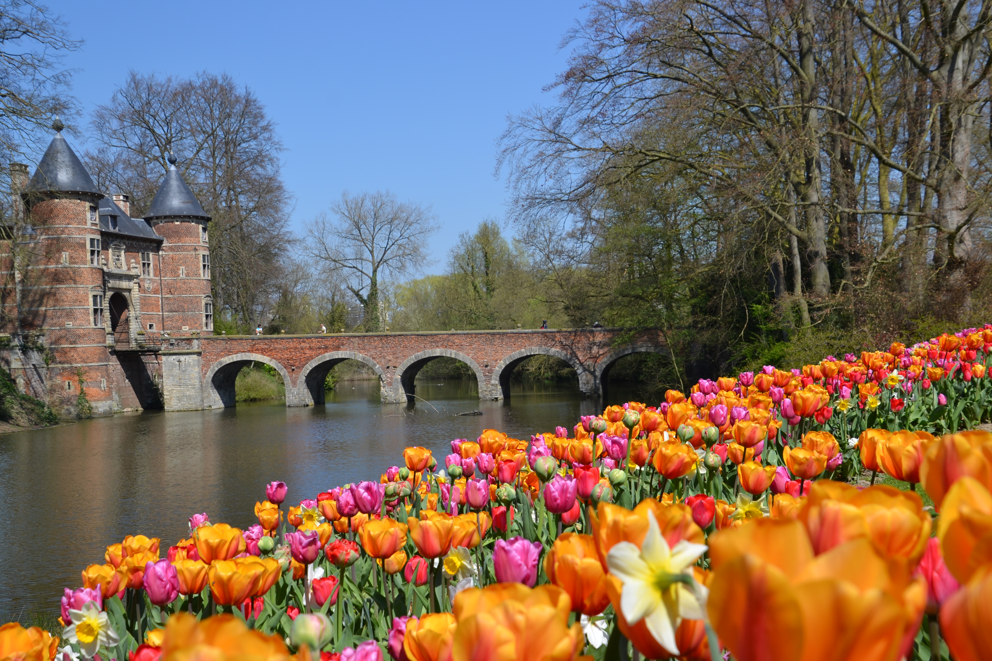 https://registratie-aanbod.vrouwennet.be/uploads/aanbod/sylvia-tielemans-optac-sa-vrouwennet-overview_1750077897.jpg