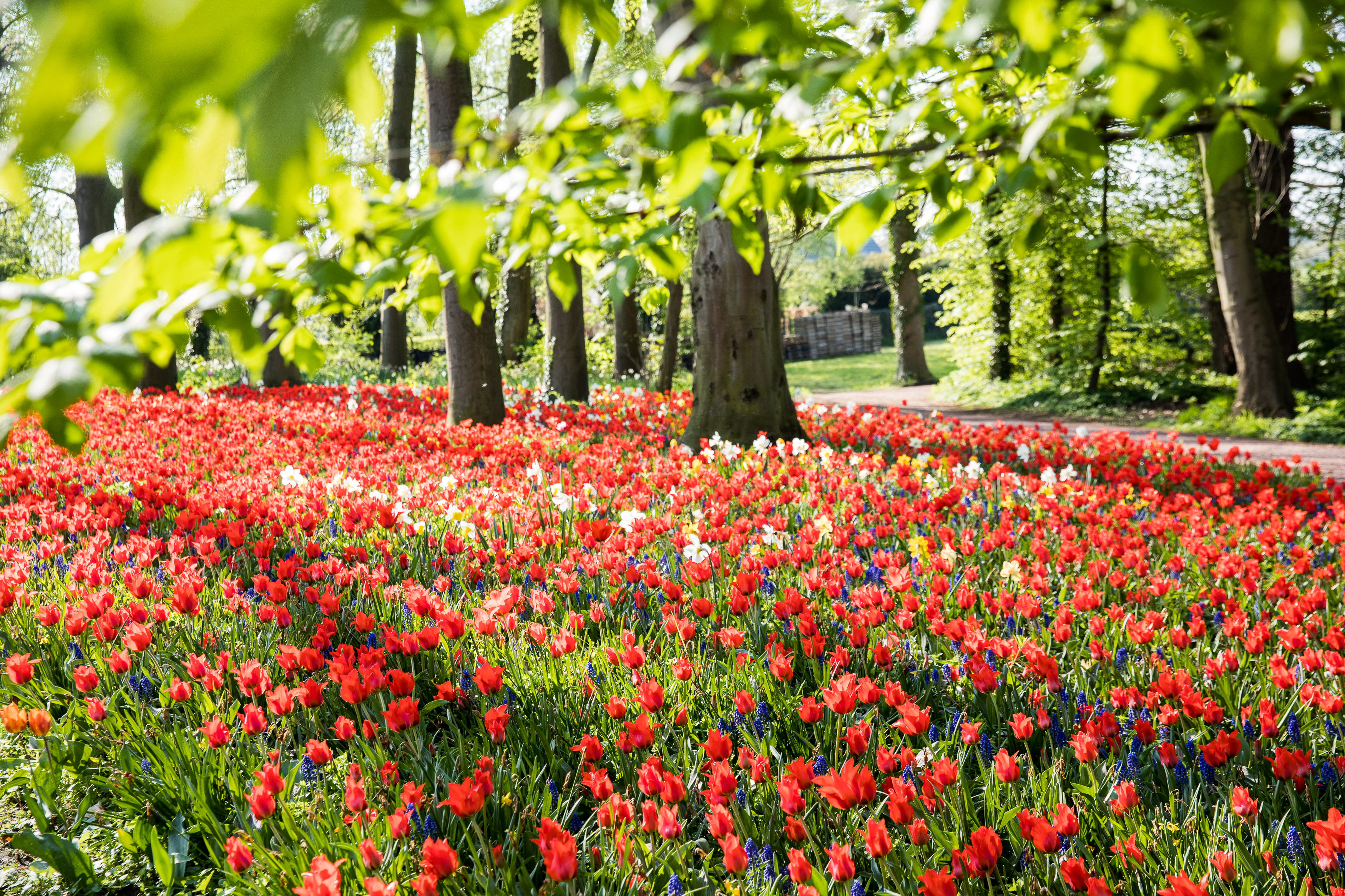 https://registratie-aanbod.vrouwennet.be/uploads/aanbod/sylvia-tielemans-optac-sa-vrouwennet-photo-1_1750077897.jpg