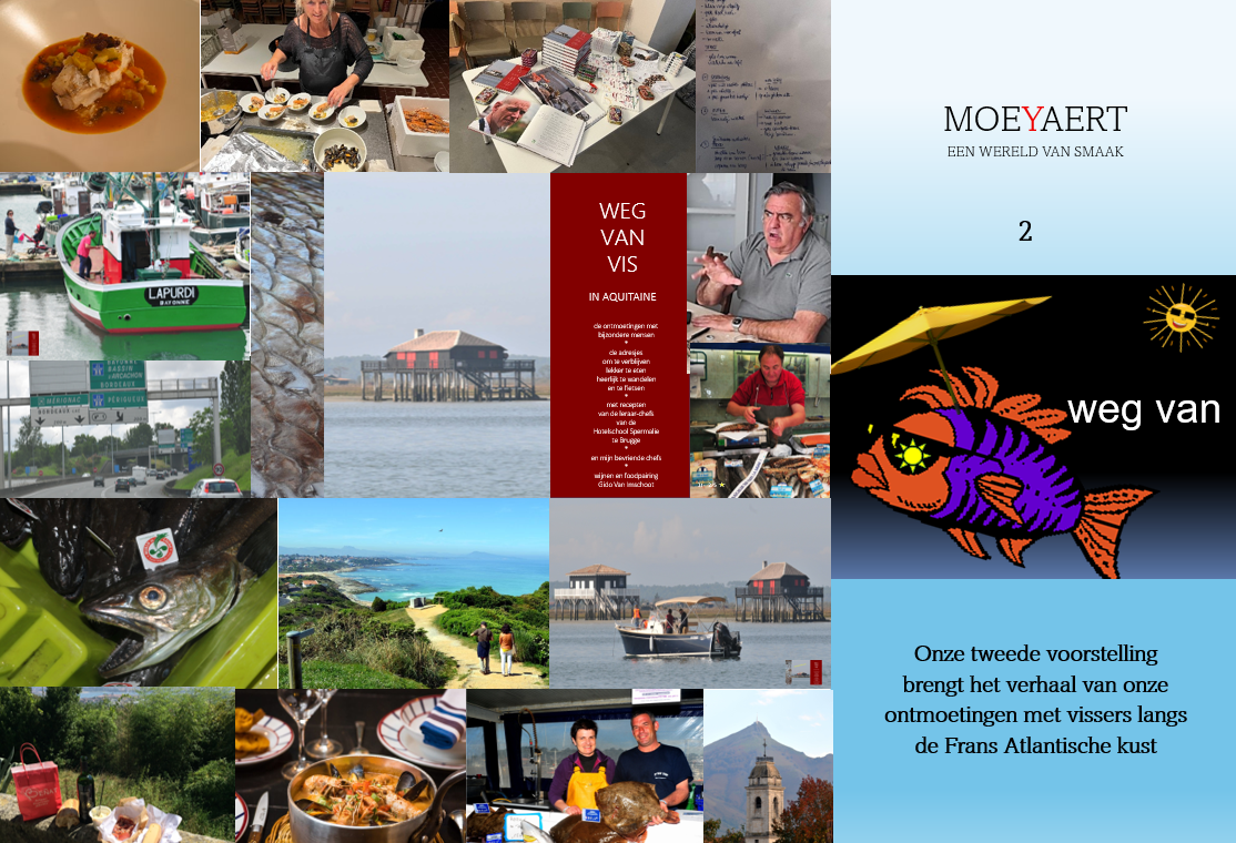 https://registratie-aanbod.vrouwennet.be/uploads/aanbod/wilfried-moeyaert-moeyaert-vrouwennet-overview_1773737028.png